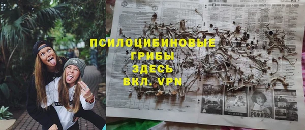 стафф Баксан